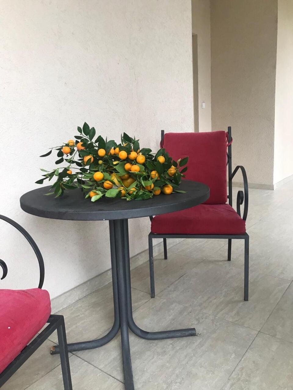Studio Apartment Vukcevic Podgorica Exterior photo
